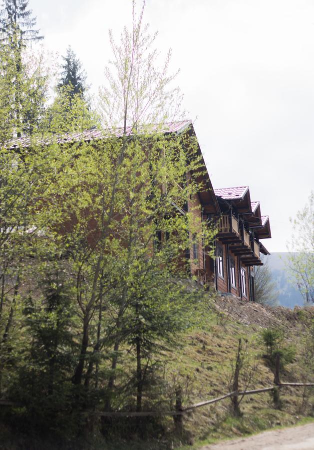 Вилла Karpatska Oselia Верховина Экстерьер фото